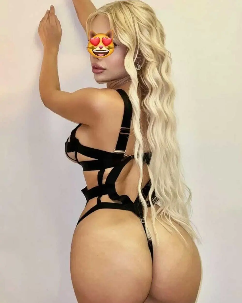 NALAN görsel 2